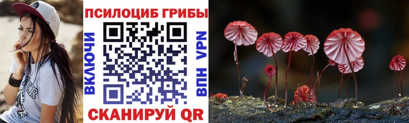 Галлюциногенные грибы Psilocybine cubensis OMG ССЫЛКА Когалым