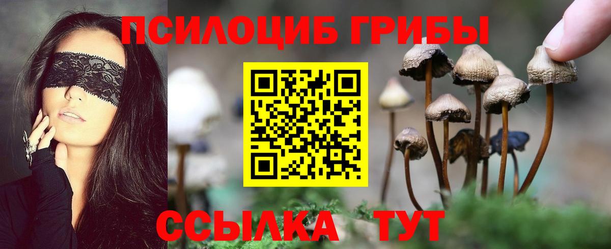 Псилоцибиновые грибы MAGIC MUSHROOMS  Вход с VPN  Когалым 