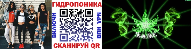 Шишки марихуана сатива купить Когалым